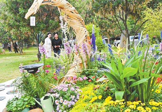 廣西南寧：“療愈花園”點亮春日